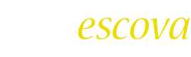 logo fast escova